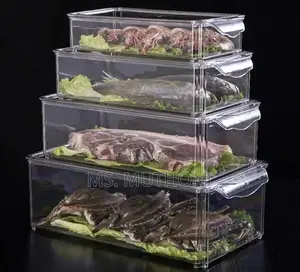 4 PCs Premium, Crystal-Clear Storage Bins