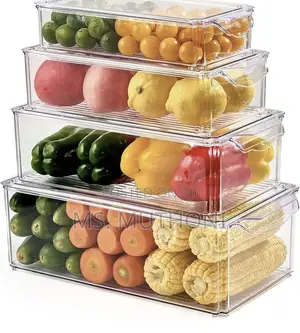 4 PCs Premium, Crystal-Clear Storage Bins