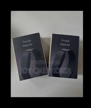 Google Fitbit Air