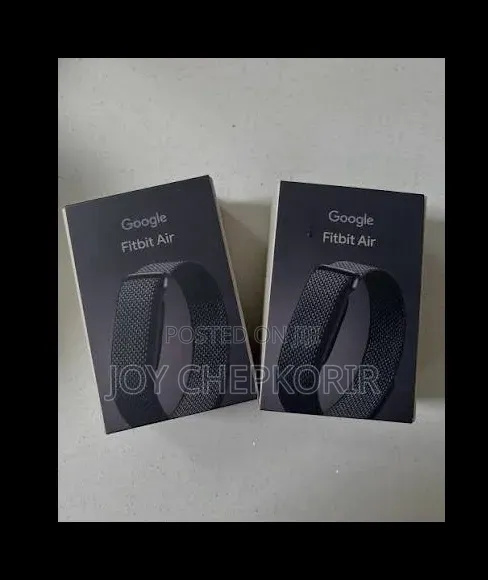 Google Fitbit Air
