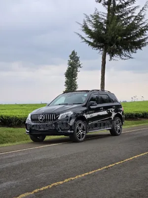 Mercedes-Benz GLE-Class 2019 Black