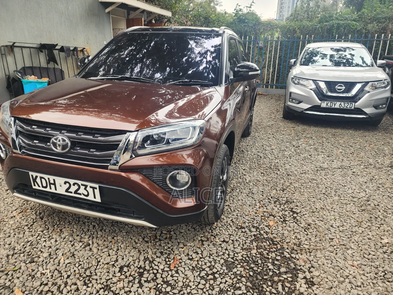 Toyota Urban Cruiser 2021 Brown