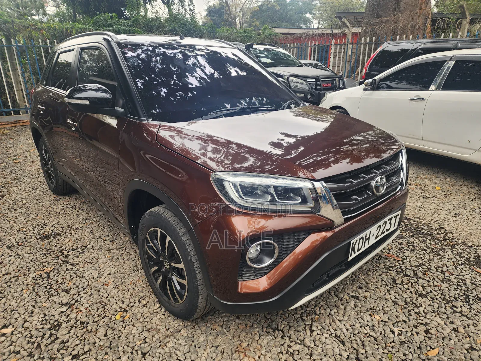 Toyota Urban Cruiser 2021 Brown
