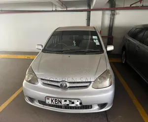 Toyota Platz 2004 Silver
