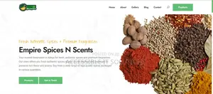 Pro Website With Easy Content Update Admin – Only Ksh. 14,999