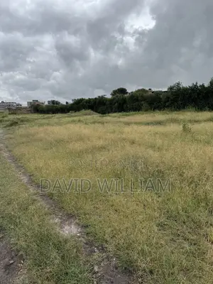 50X100 Plots for Sale in Kyumvi Area