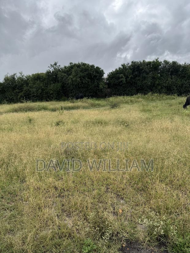 50X100 Plots for Sale in Kyumvi Area