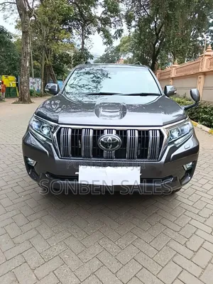 Toyota Land Cruiser Prado 2.8 2019 Gray