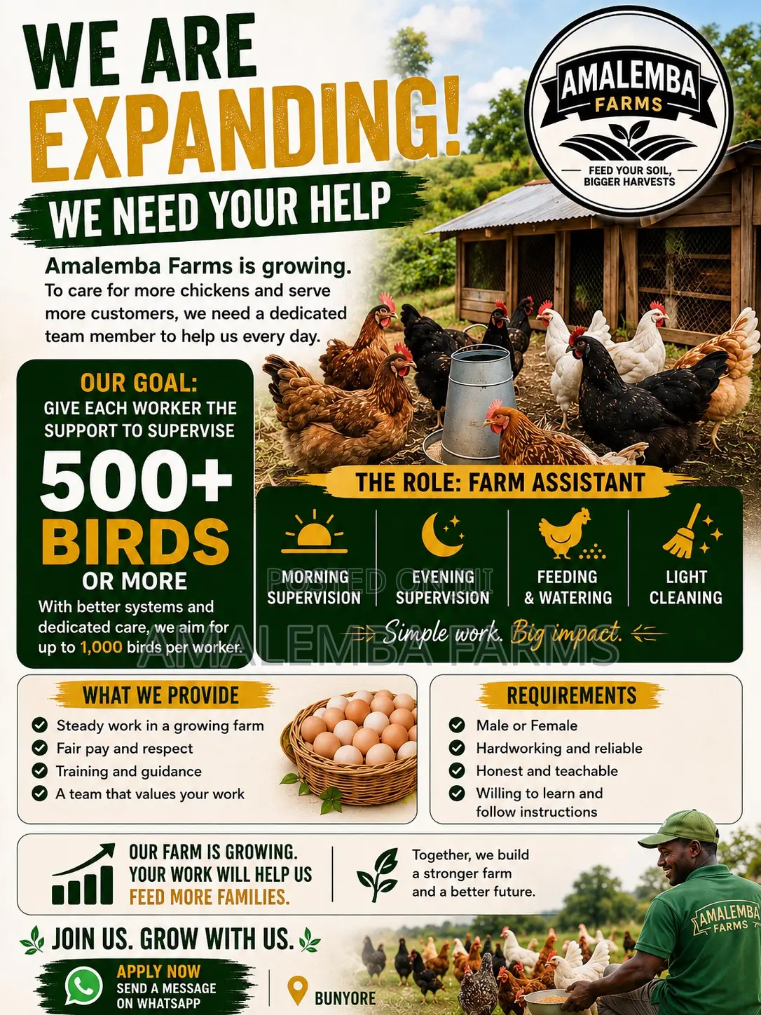 Farm Assistant – Bunyore (500+ Chickens)