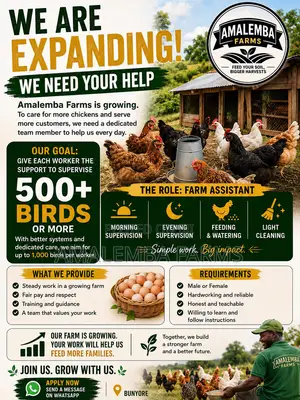 Farm Assistant – Bunyore (500+ Chickens)