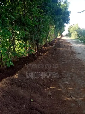 Commercial Land for Sale