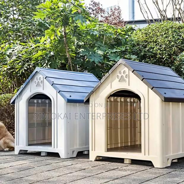 Large Outdoor Dogs House