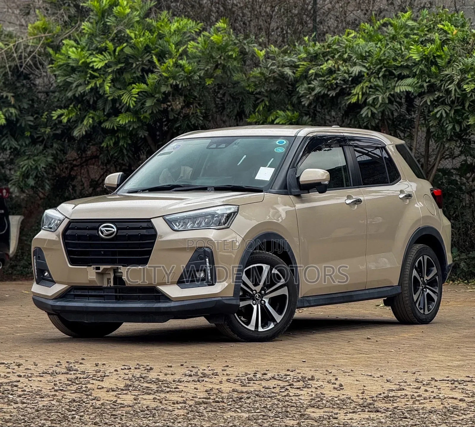 Daihatsu Rocky 2019 Brown