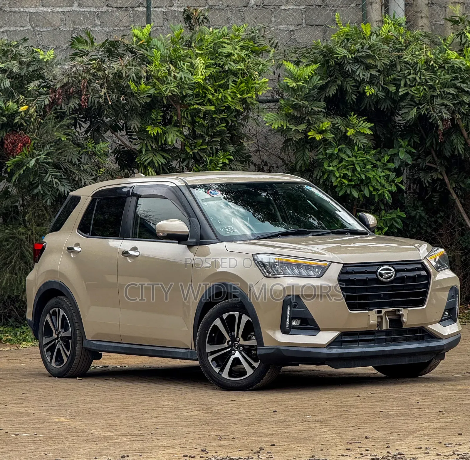 Daihatsu Rocky 2019 Brown