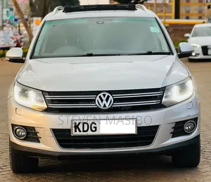 Volkswagen Tiguan 2014 Silver
