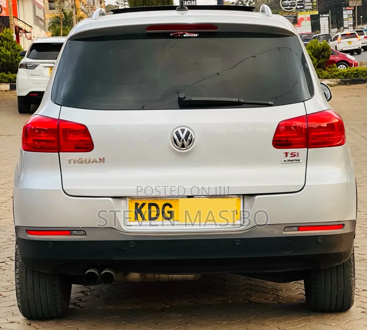 Volkswagen Tiguan 2014 Silver
