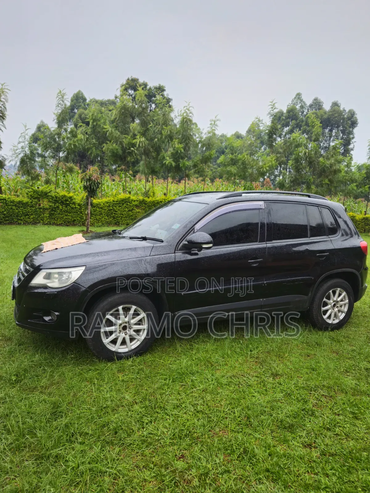 Volkswagen Tiguan 2011 Black