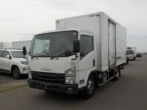 Isuzu Elf Box Body