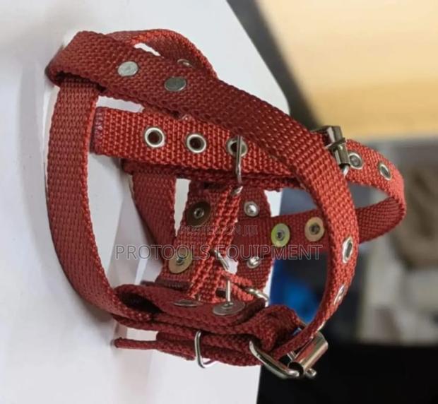 Red Climber Strap
