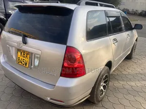Toyota Corolla Fielder 2008 Silver