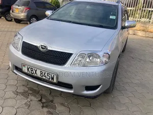 Toyota Corolla Fielder 2008 Silver