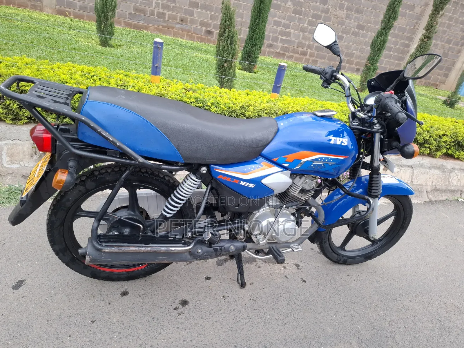 TVS HLX 125 2025 Blue