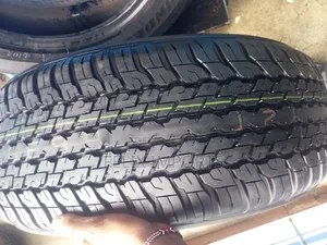 265/60r18 Dunlop at 25