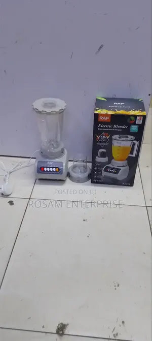RaF 2 in 1 Electric Blender