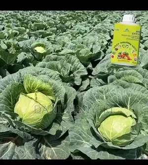 Nitric+organic+fertiliser