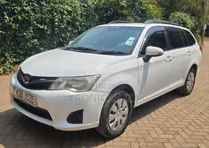 Toyota Corolla Fielder 2013 White