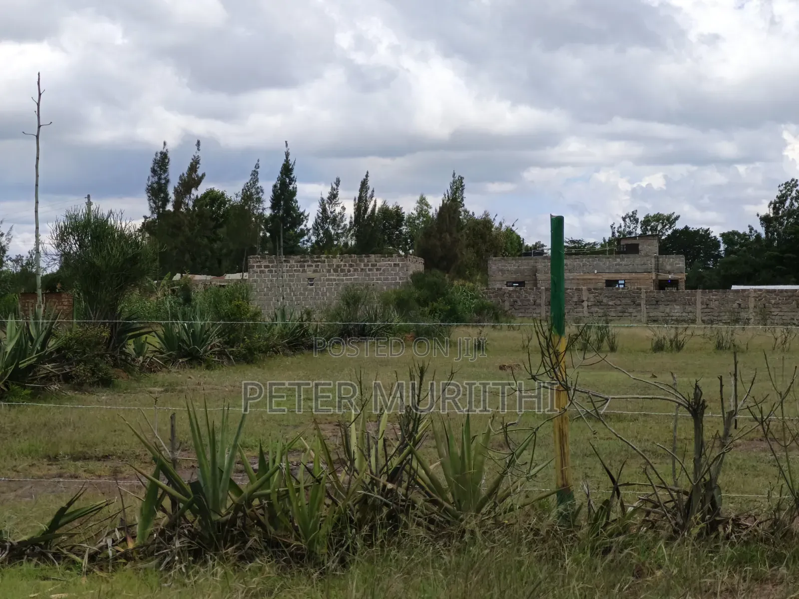 Kilimambogo Affordable Plots