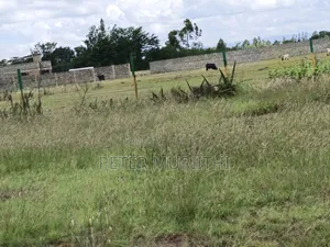 Kilimambogo Affordable Plots