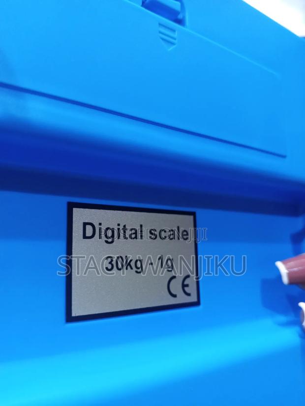 DT 580 Scale - thumbnail 2
