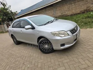 Toyota Axio 2008 Silver
