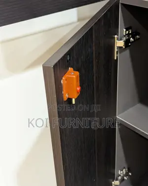 Office Cabinet; Two Doors Home and Offices Storage Wooden Cabinet