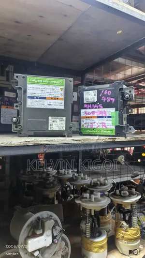 Suzuki Solio Lithium Battery