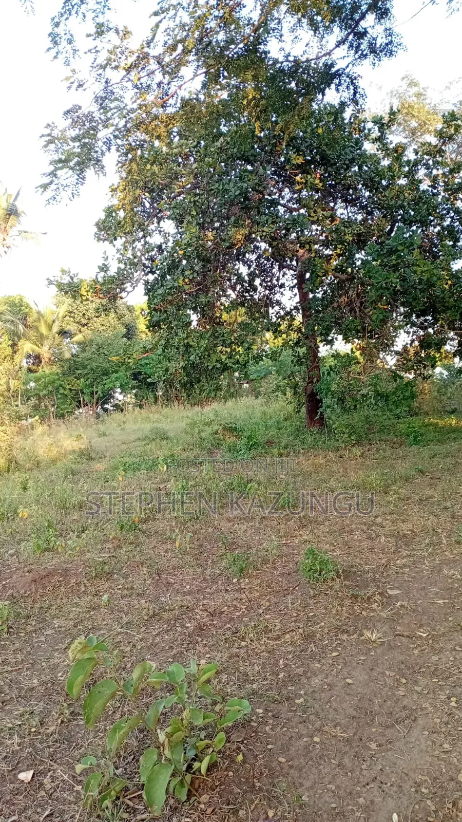 1/8 Acre Plot at Shamu Near Technical University of Mombasa Branch