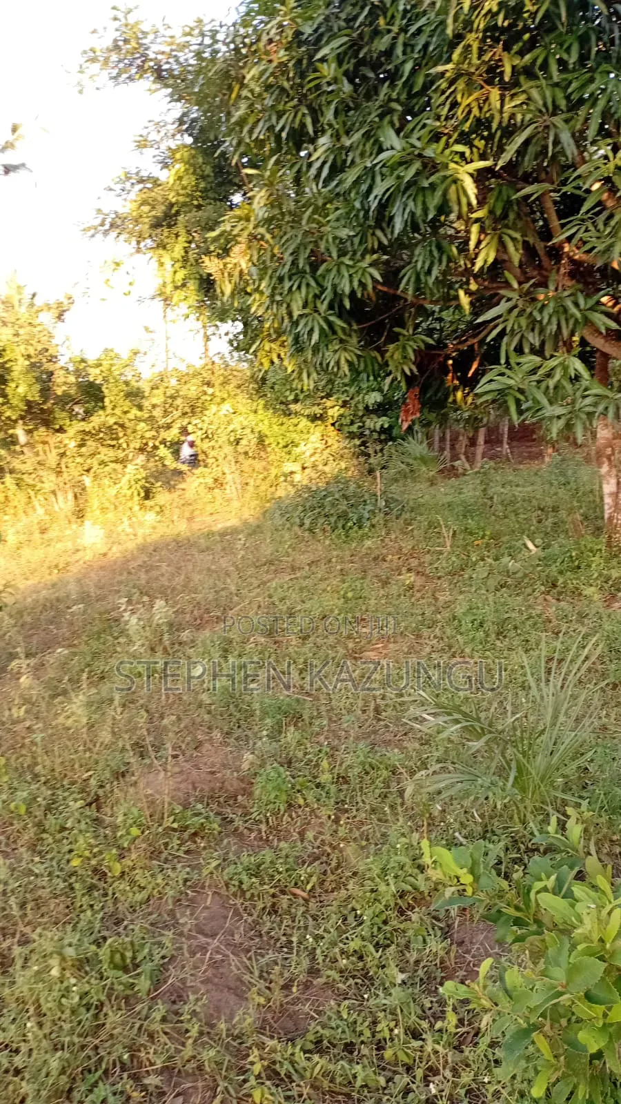 1/8 Acre Plot at Shamu Near Technical University of Mombasa Branch