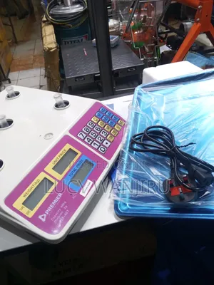Easy to Use Premier Weighing Scale