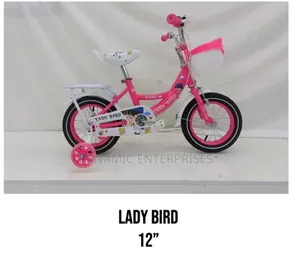 Ladybird Bicycle Size 12