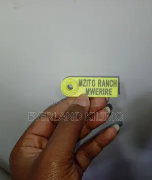 Sheep Customized Slim Tags
