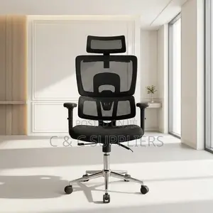 Orthopedic Adjustable Boss Mesh Chair.