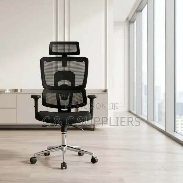 Orthopedic Adjustable Boss Mesh Chair.