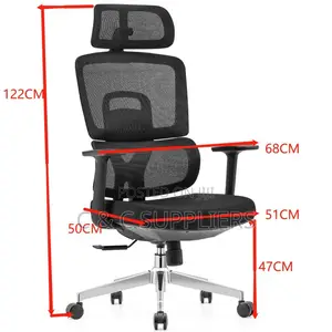 Orthopedic Adjustable Boss Mesh Chair.