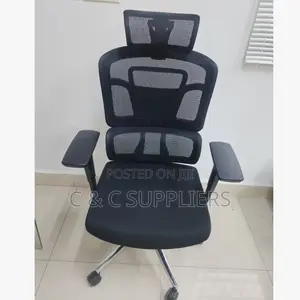 Orthopedic Adjustable Boss Mesh Chair.