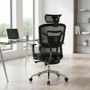 Orthopedic Adjustable Boss Mesh Chair.