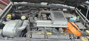 Mitsubishi Pajero 1994 Blue