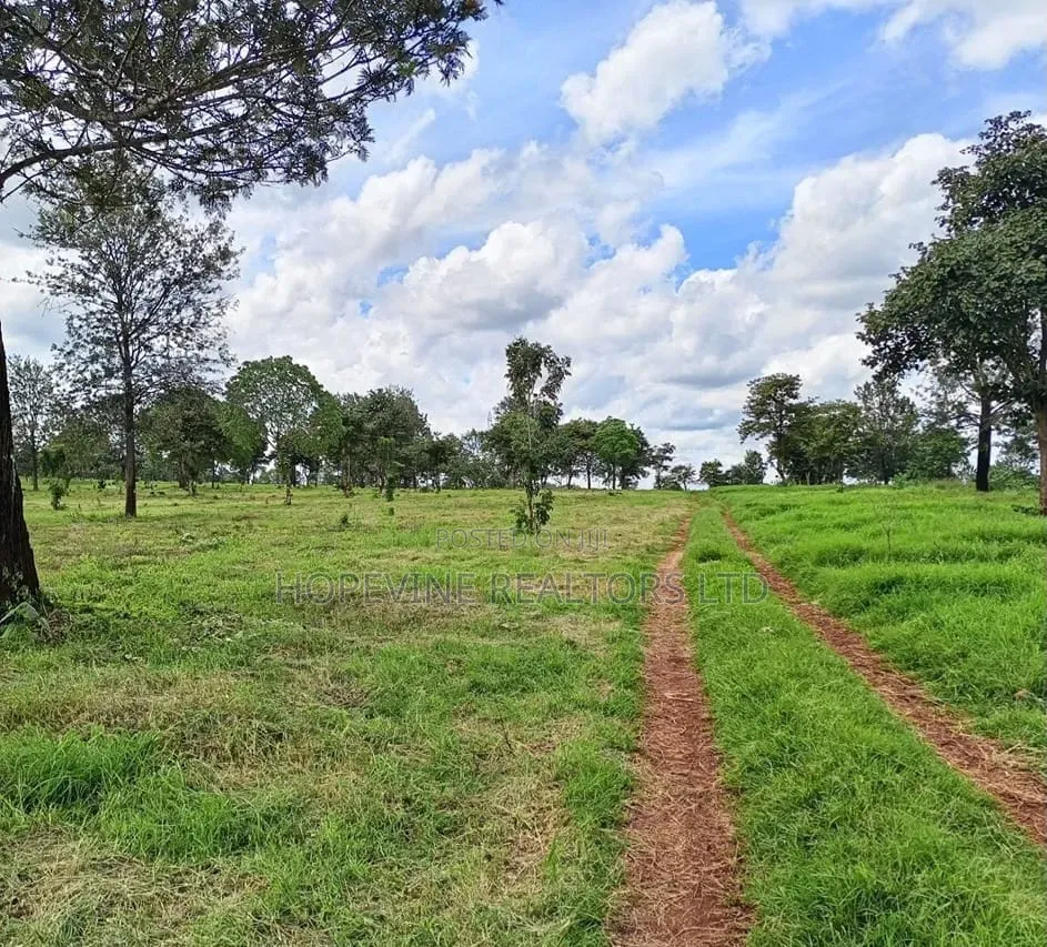 Land for Sale in Tilisi ( 4 and 1/2 Acres)