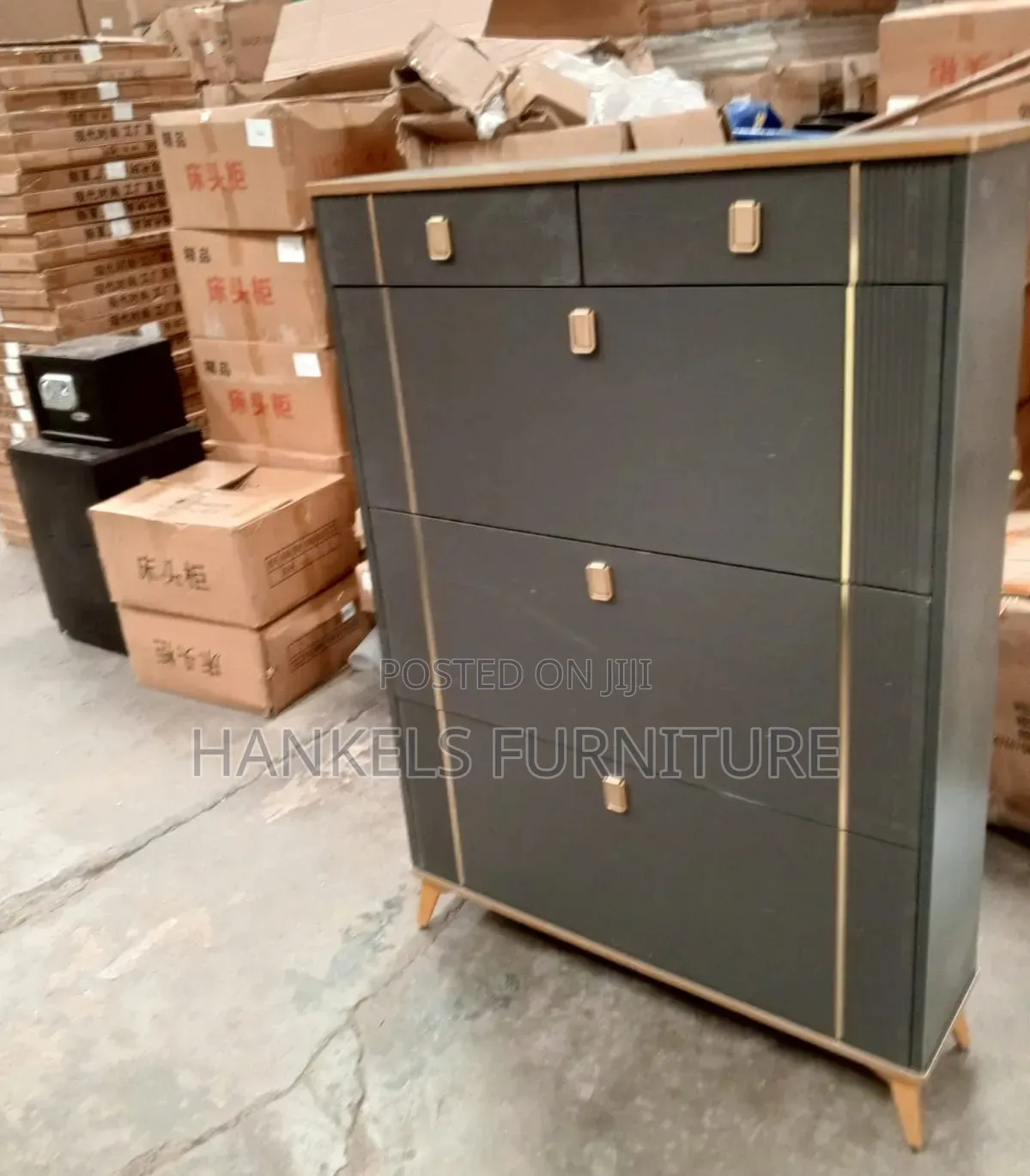 Modern Design Shoerack