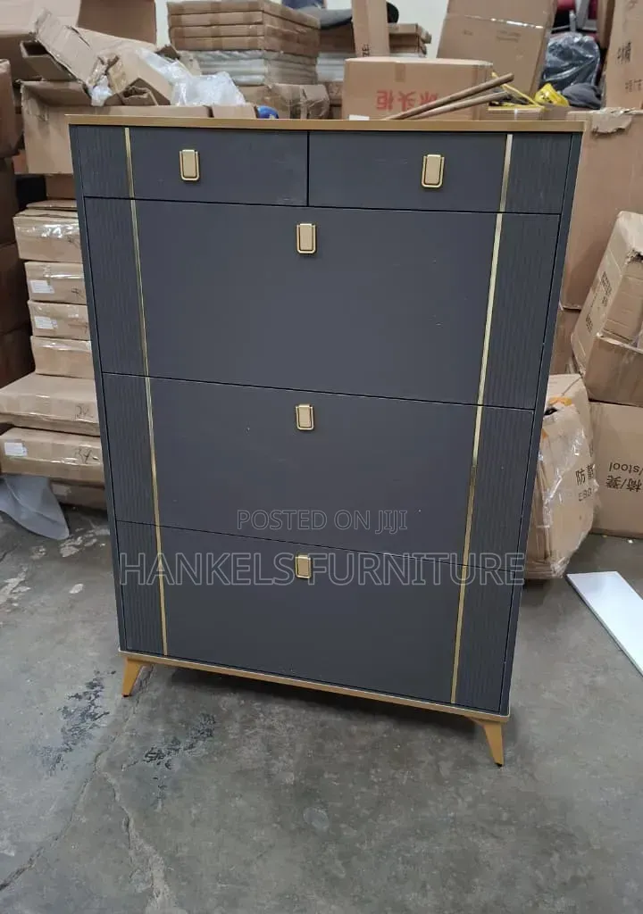 Modern Design Shoerack